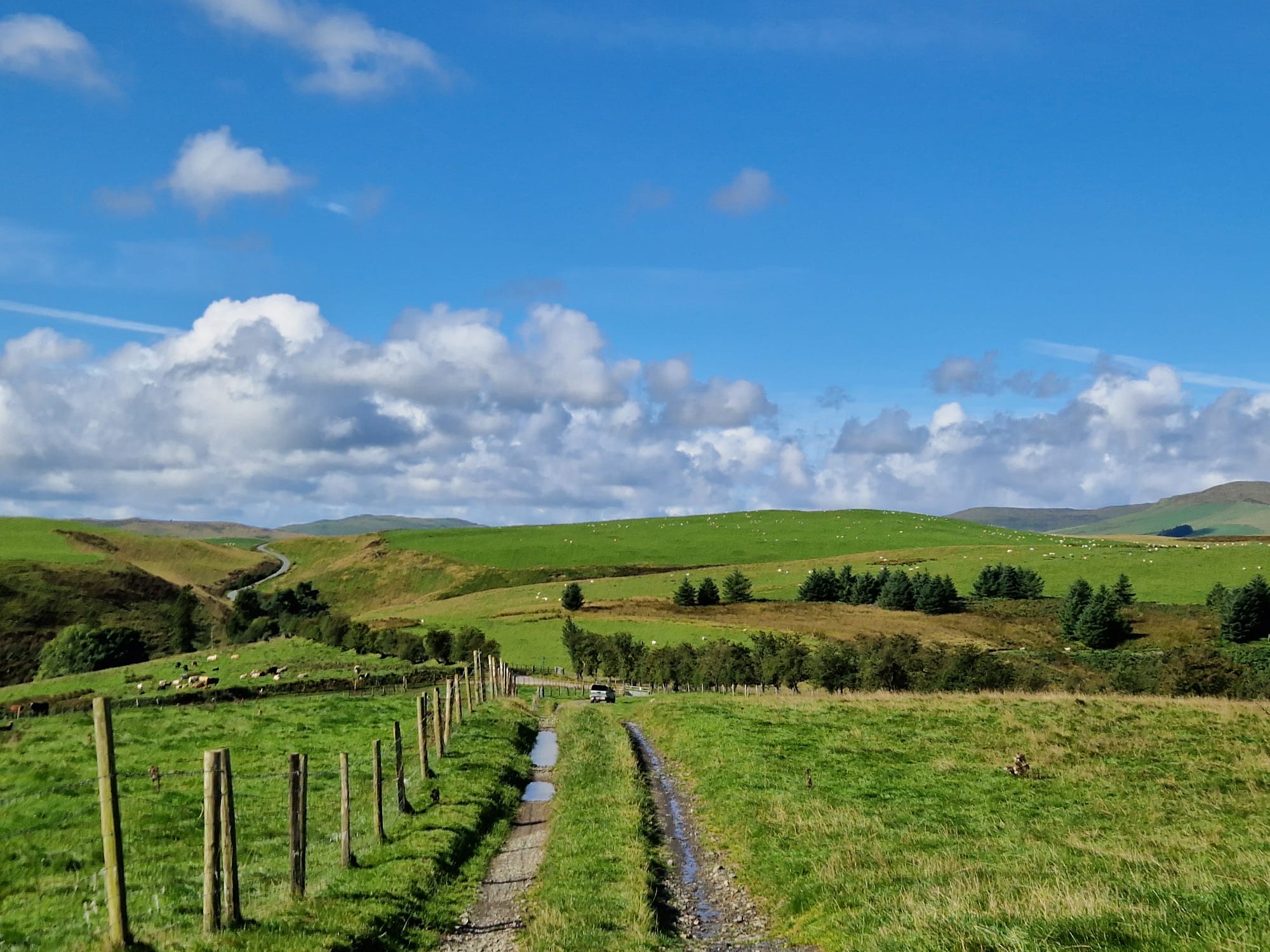 Guided Trail Run - Ceiriog Valley