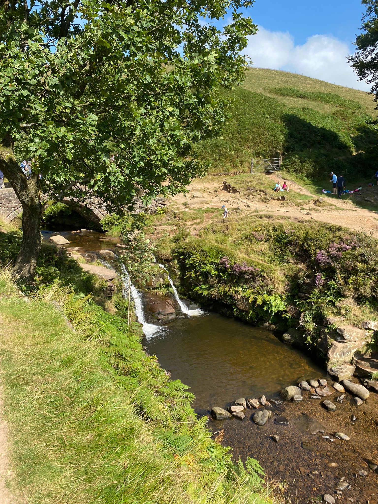 The Staffordshire 3 Peaks - Guided Walk Challenge 